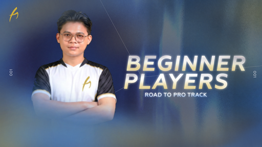 Beginner - Players
